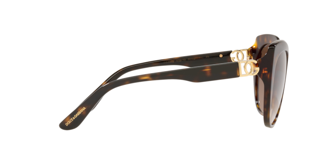 Dolce & Gabbana Sunglasses DG4392 502/13