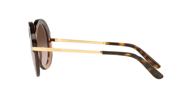 Dolce & Gabbana Sunglasses DG4393 325613