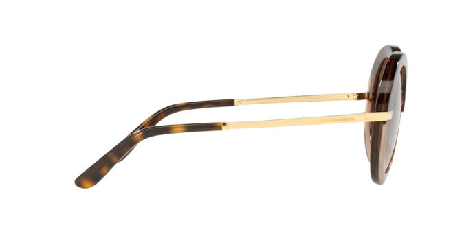 Dolce & Gabbana Sunglasses DG4393 325613