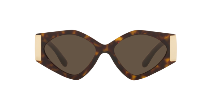 Dolce & Gabbana Sunglasses DG4396 502/73