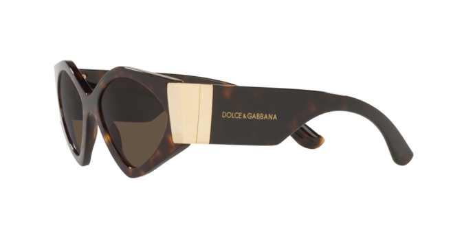 Dolce & Gabbana Sunglasses DG4396 502/73