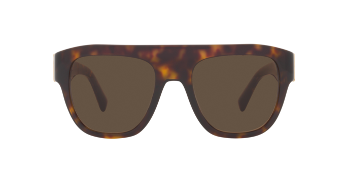 Dolce & Gabbana Sunglasses DG4398 502/73