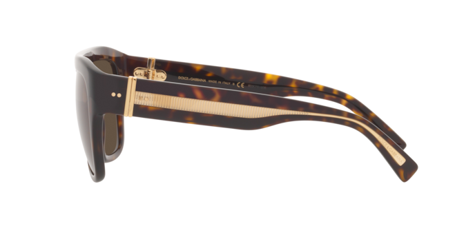 Dolce & Gabbana Sunglasses DG4398 502/73