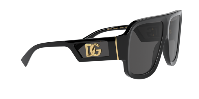 Dolce & Gabbana Sunglasses DG4401 501/87