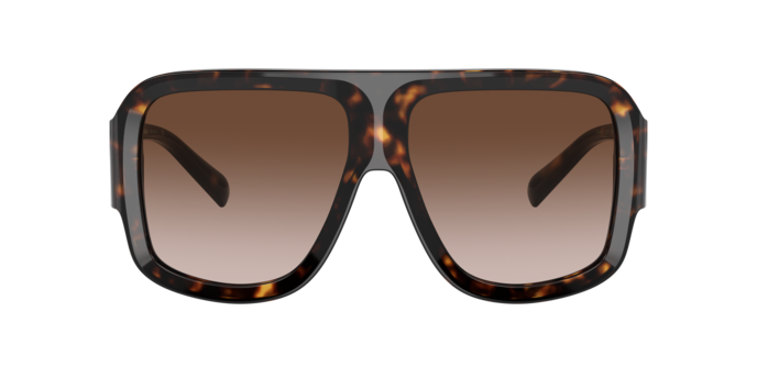 Dolce & Gabbana Sunglasses DG4401 502/13