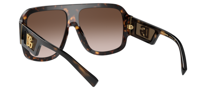 Dolce & Gabbana Sunglasses DG4401 502/13