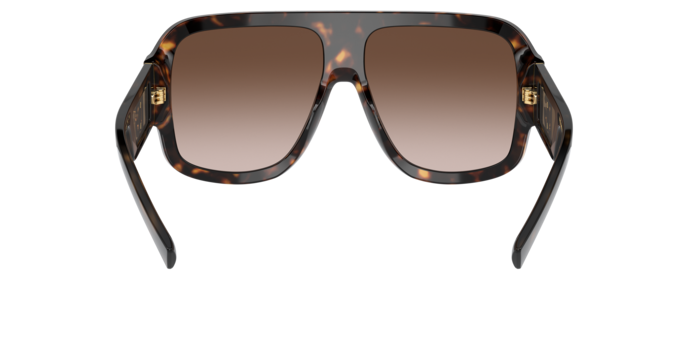 Dolce & Gabbana Sunglasses DG4401 502/13