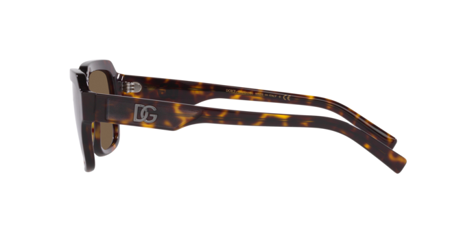 Dolce & Gabbana Sunglasses DG4402 502/73