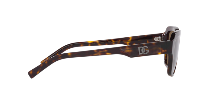 Dolce & Gabbana Sunglasses DG4402 502/73