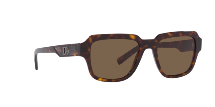 Dolce & Gabbana Sunglasses DG4402 502/73