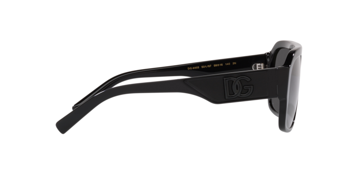 Dolce & Gabbana Sunglasses DG4403 501/87