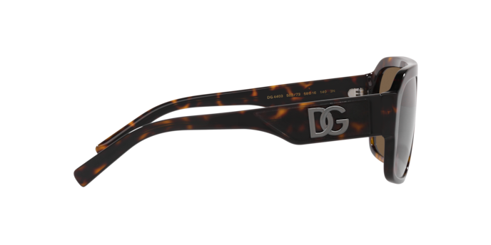 Dolce & Gabbana Sunglasses DG4403 502/73