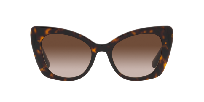 Dolce & Gabbana Sunglasses DG4405 502/13