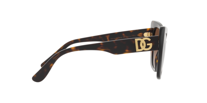 Dolce & Gabbana Sunglasses DG4405 502/13