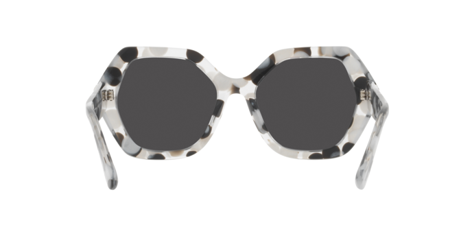 Dolce & Gabbana Sunglasses DG4406 336187