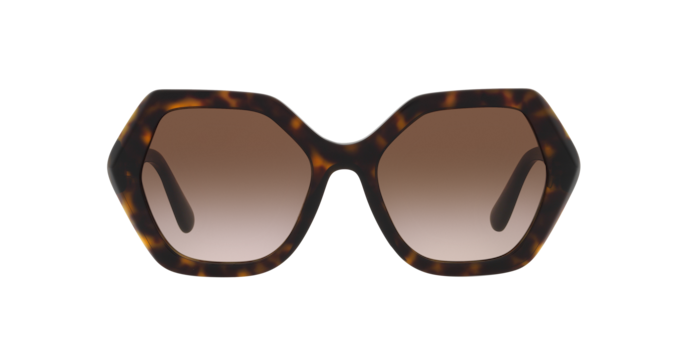 Dolce & Gabbana Sunglasses DG4406 502/13