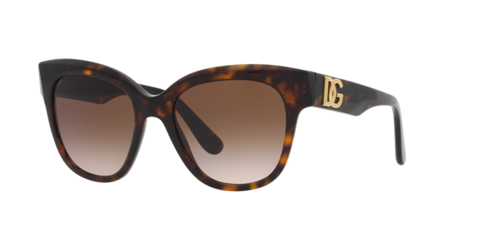 Dolce & Gabbana Sunglasses DG4407 502/13