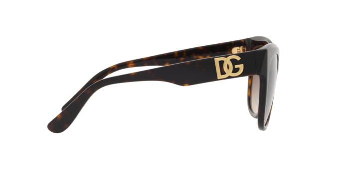Dolce & Gabbana Sunglasses DG4407 502/13
