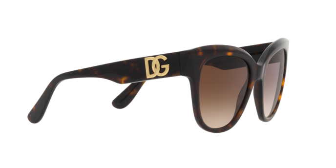 Dolce & Gabbana Sunglasses DG4407 502/13