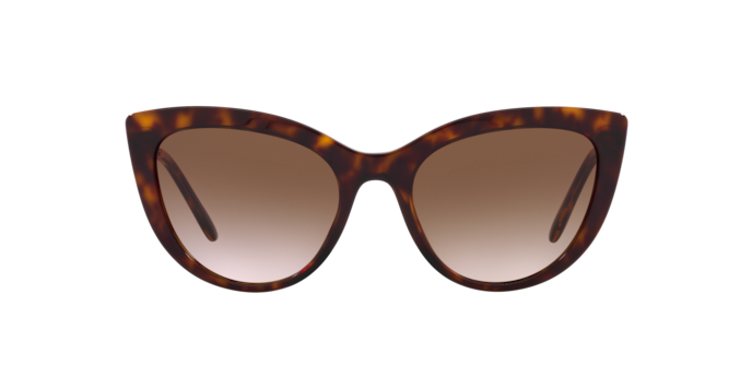 Dolce & Gabbana Sunglasses DG4408 502/13