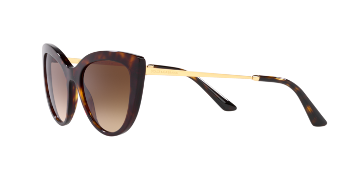 Dolce & Gabbana Sunglasses DG4408 502/13