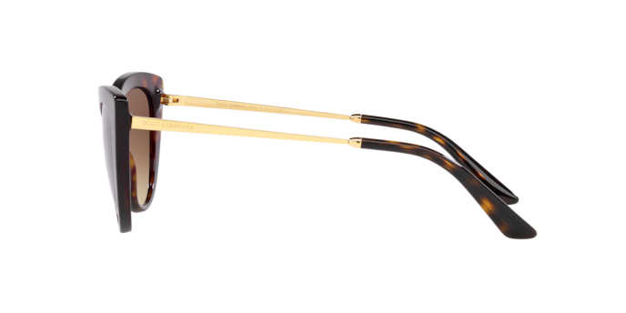 Dolce & Gabbana Sunglasses DG4408 502/13