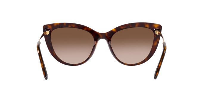 Dolce & Gabbana Sunglasses DG4408 502/13