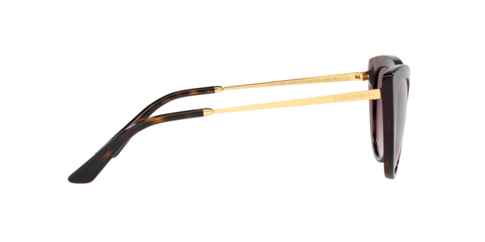 Dolce & Gabbana Sunglasses DG4408 502/13