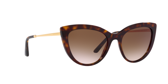 Dolce & Gabbana Sunglasses DG4408 502/13