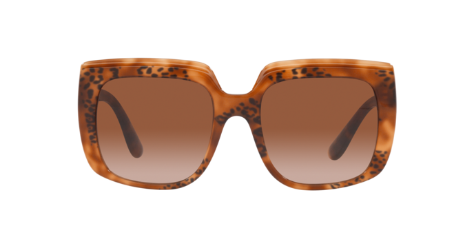 Dolce & Gabbana Sunglasses DG4414 338013