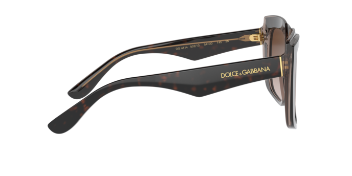 Dolce & Gabbana Sunglasses DG4414 502/13