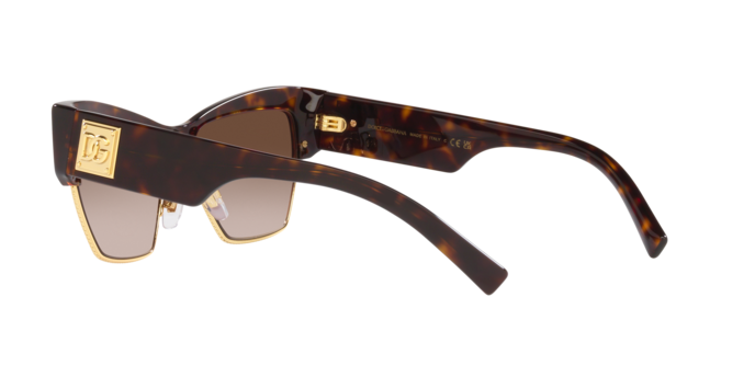 Dolce & Gabbana Sunglasses DG4415 502/13