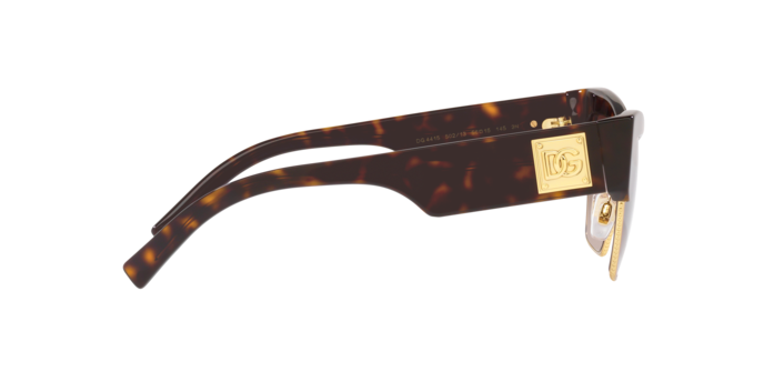 Dolce & Gabbana Sunglasses DG4415 502/13