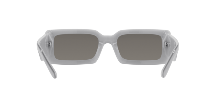 Dolce & Gabbana Sunglasses DG4416 33736G