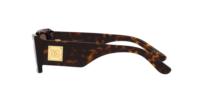 Dolce & Gabbana Sunglasses DG4416 502/13