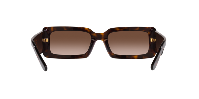 Dolce & Gabbana Sunglasses DG4416 502/13