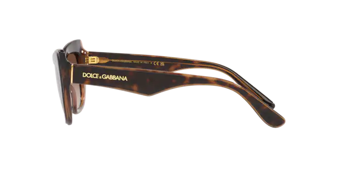 Dolce & Gabbana Sunglasses DG4417 325613