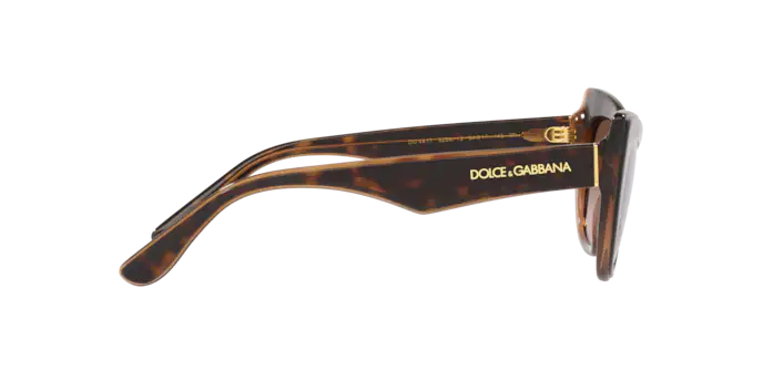 Dolce & Gabbana Sunglasses DG4417 325613