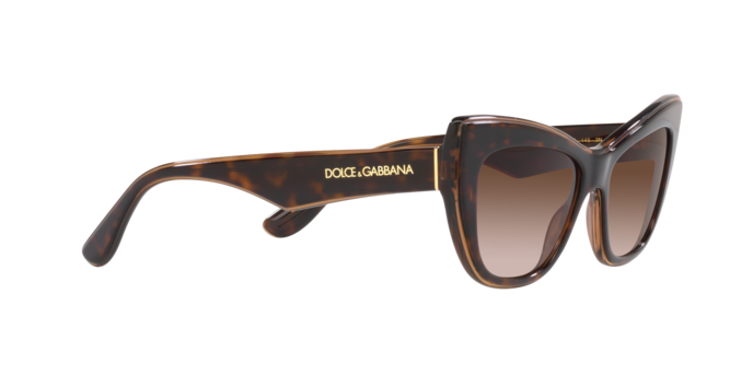 Dolce & Gabbana Sunglasses DG4417 325613
