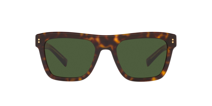 Dolce & Gabbana Sunglasses DG4420 502/71