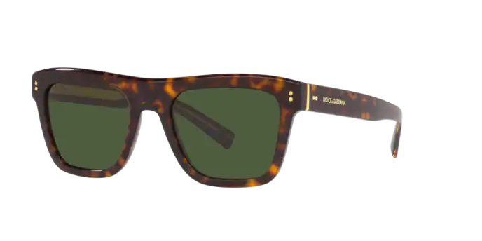 Dolce & Gabbana Sunglasses DG4420 502/71