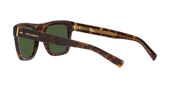 Dolce & Gabbana Sunglasses DG4420 502/71