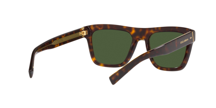 Dolce & Gabbana Sunglasses DG4420 502/71