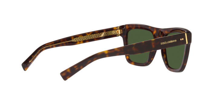 Dolce & Gabbana Sunglasses DG4420 502/71