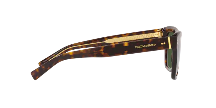 Dolce & Gabbana Sunglasses DG4420 502/71