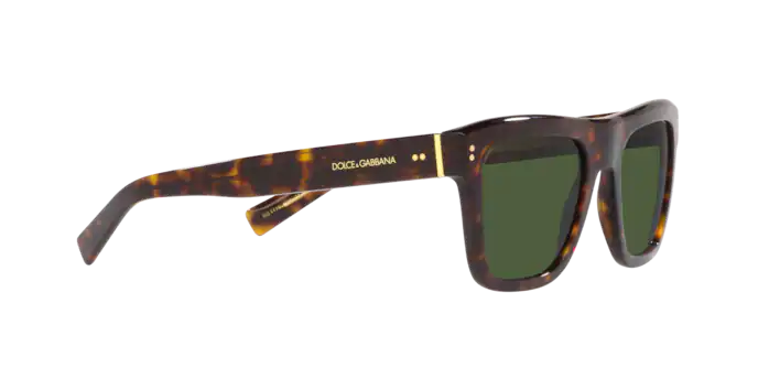 Dolce & Gabbana Sunglasses DG4420 502/71