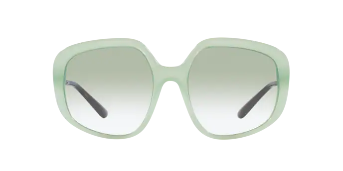 Dolce & Gabbana Sunglasses DG4421 33458E