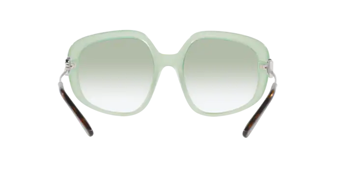 Dolce & Gabbana Sunglasses DG4421 33458E