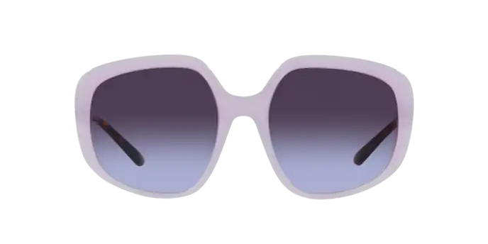 Dolce & Gabbana Sunglasses DG4421 33824Q
