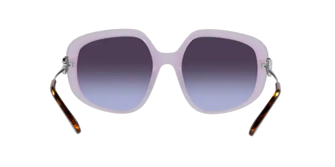 Dolce & Gabbana Sunglasses DG4421 33824Q